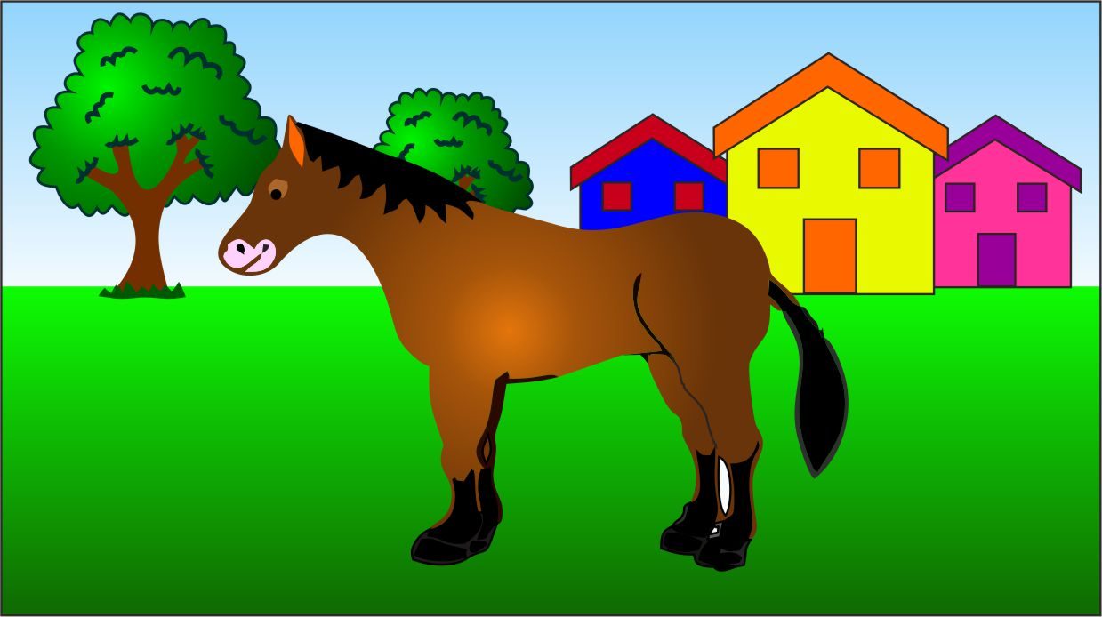 Il Tuo Primo Libro Dei Pony E Del Cavallo